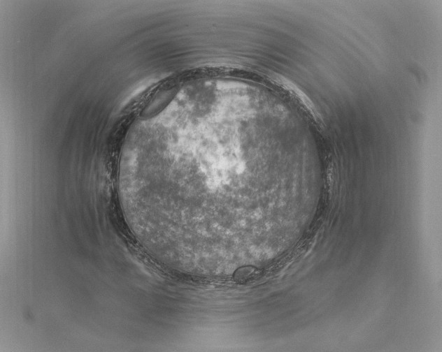 X0000115021064200911161441