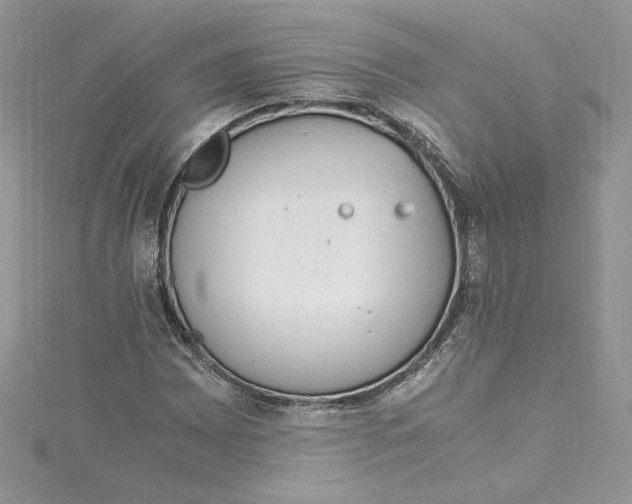 X0000115021065200911161441