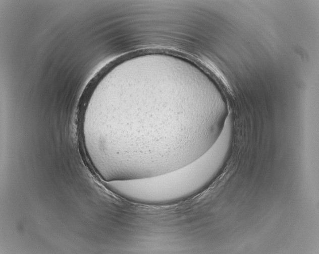 X0000115021068200911161441