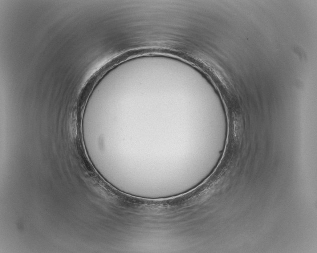 X0000115021069200911161441