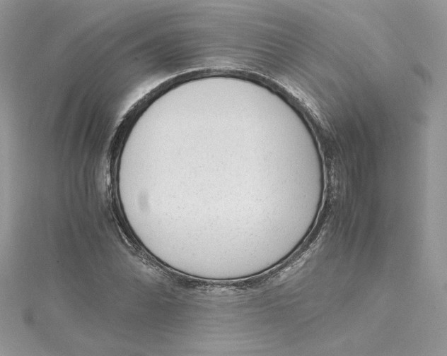 X0000115021070200911161441