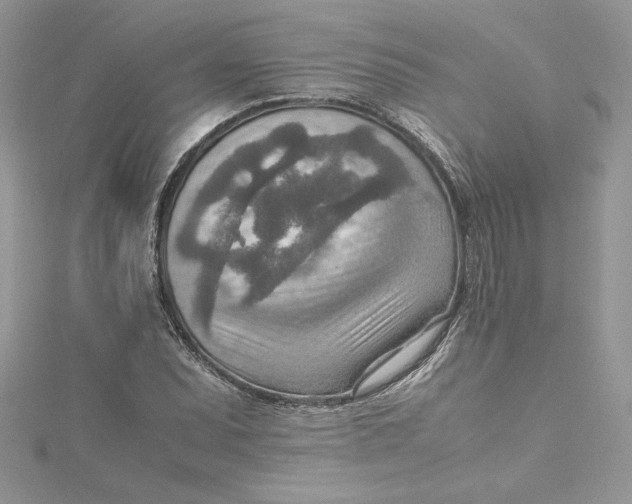 X0000115021071200911161441