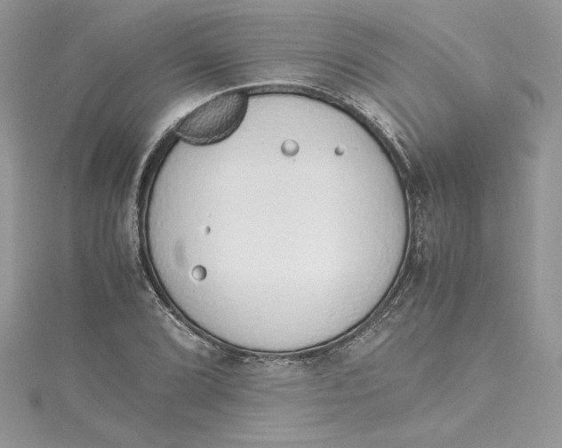 X0000115021072200911161441