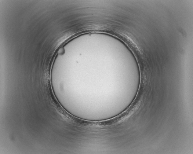 X0000115021073200911161441