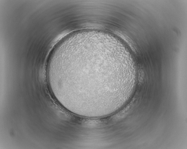 X0000115021074200911161441