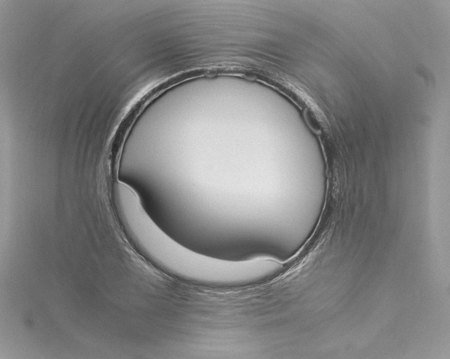 X0000115021075200911161441