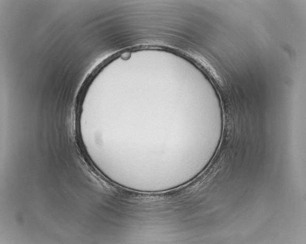 X0000115021076200911161441