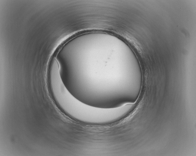 X0000115021077200911161441