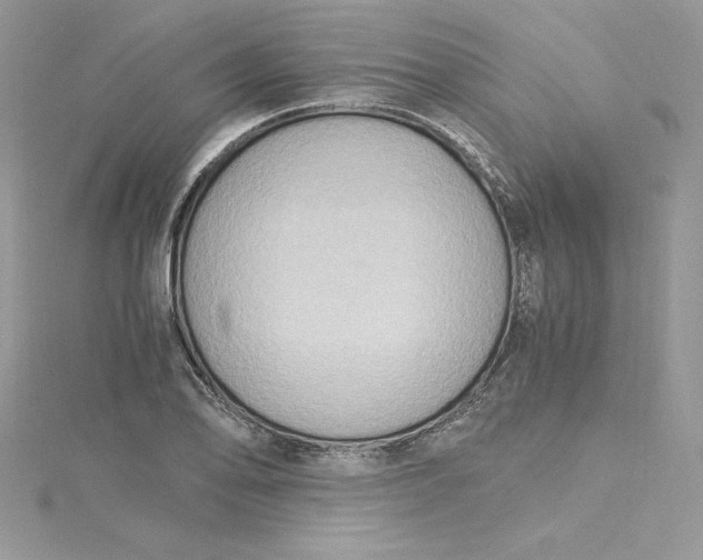 X0000115021078200911161441