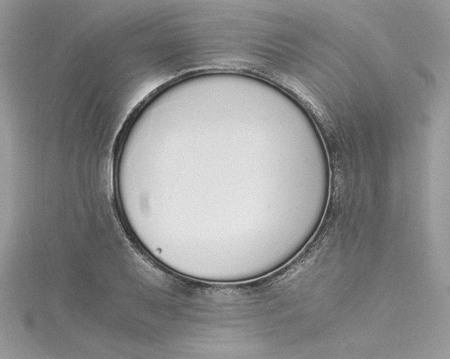 X0000115021079200911161441