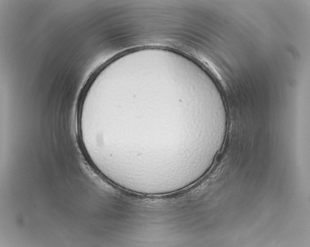 X0000115021080200911161441