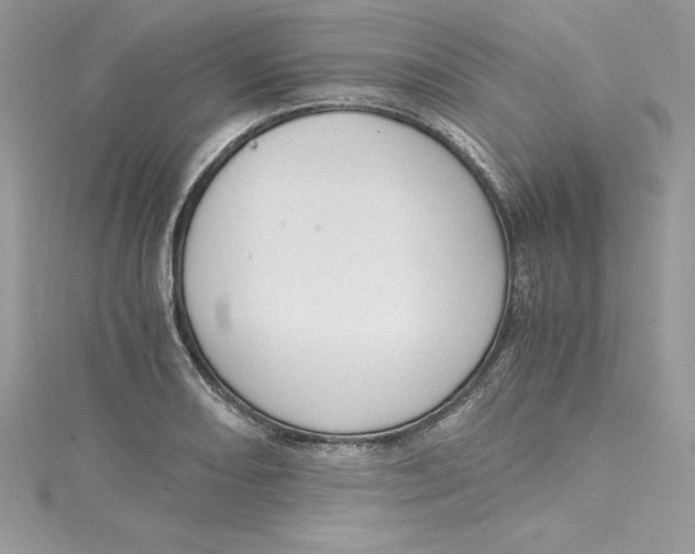 X0000115021082200911161441