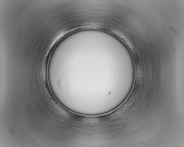 X0000115021083200911161441