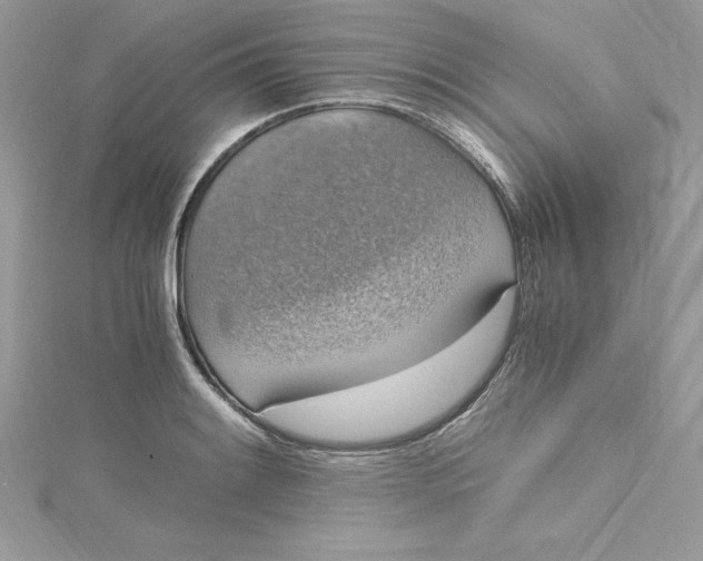 X0000115021084200911161441