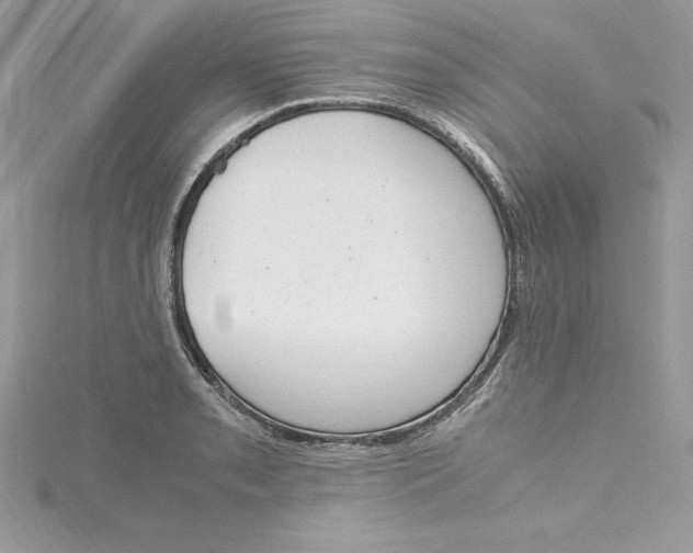 X0000115021085200911161441