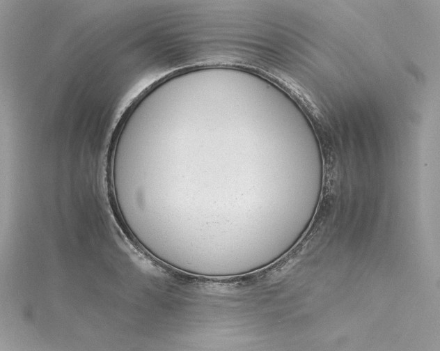 X0000115021086200911161441