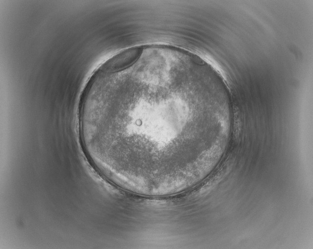 X0000115021088200911161441