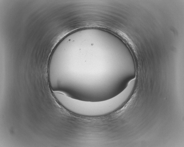 X0000115021089200911161441