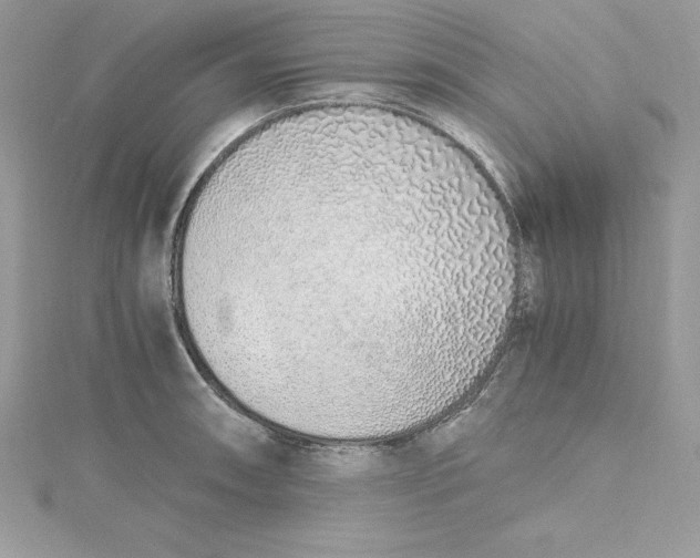 X0000115021090200911161441