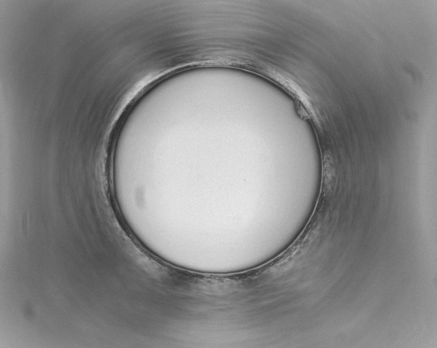 X0000115021091200911161441