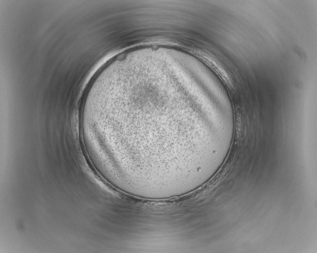 X0000115021092200911161441