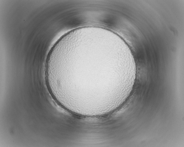 X0000115021094200911161441