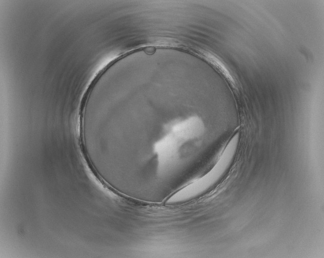 X0000115021095200911161440