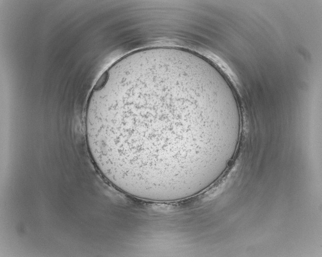 X0000115021097200911161440