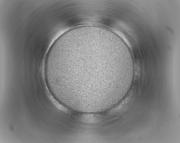 X0000115021098200911161440