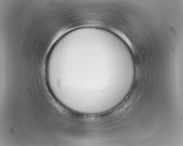 X0000115021099200911161440