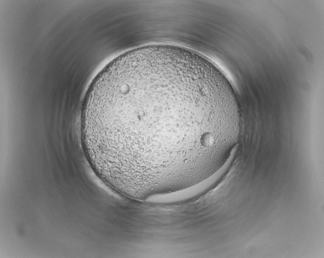 X0000115021100200911161440