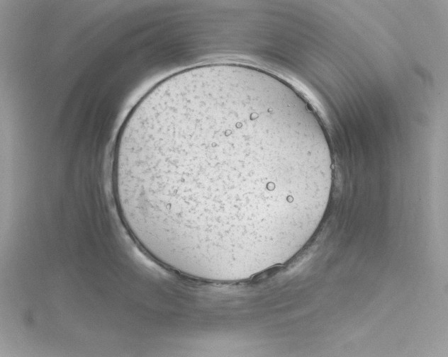 X0000115021102200911161440