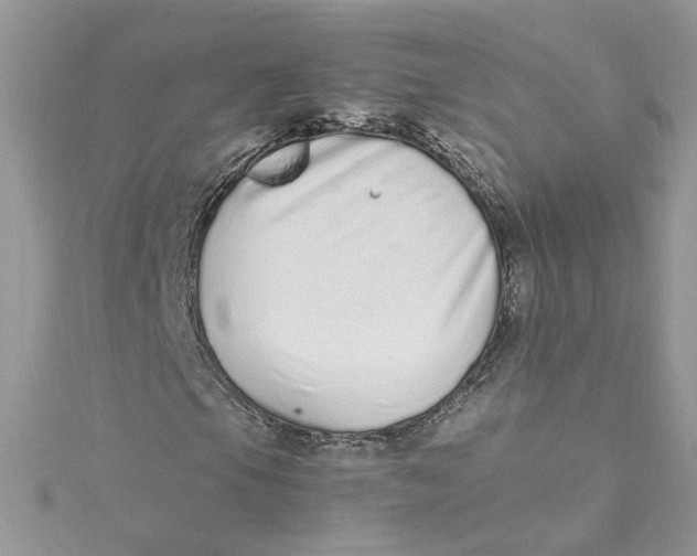 X0000115021105200911161440