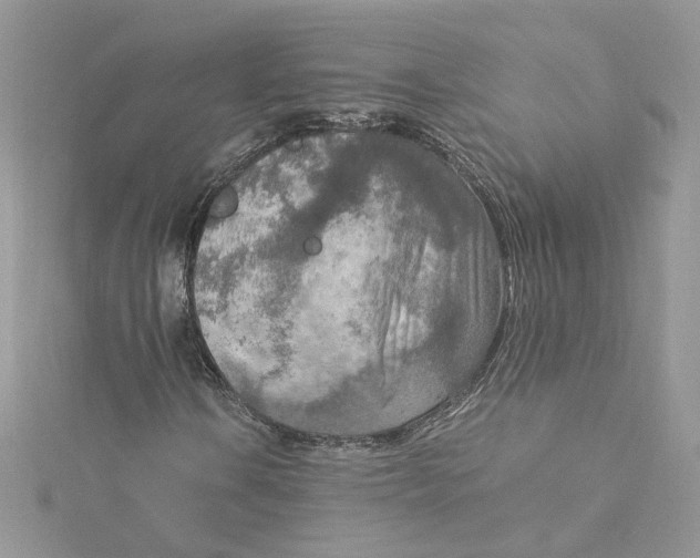 X0000115021106200911161440