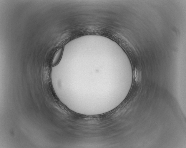 X0000115021107200911161440