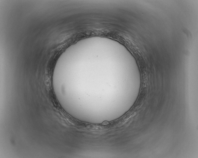 X0000115021109200911161440