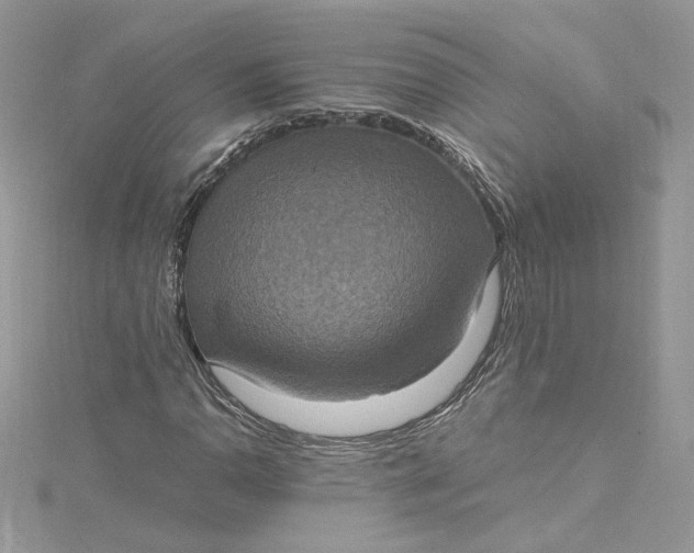 X0000115021110200911161440