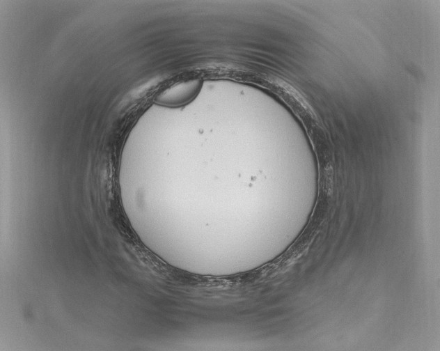 X0000115021111200911161440