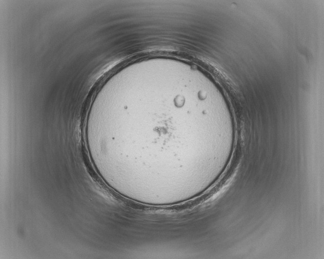 X0000115021113200911161440