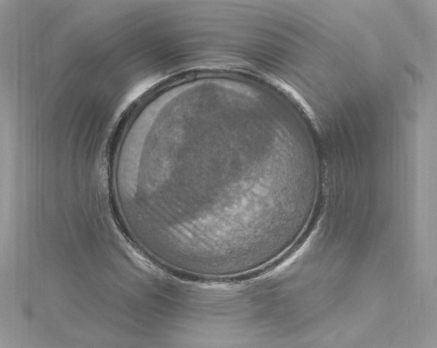 X0000115021114200911161440