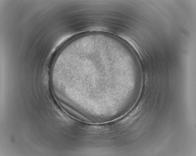 X0000115021115200911161440