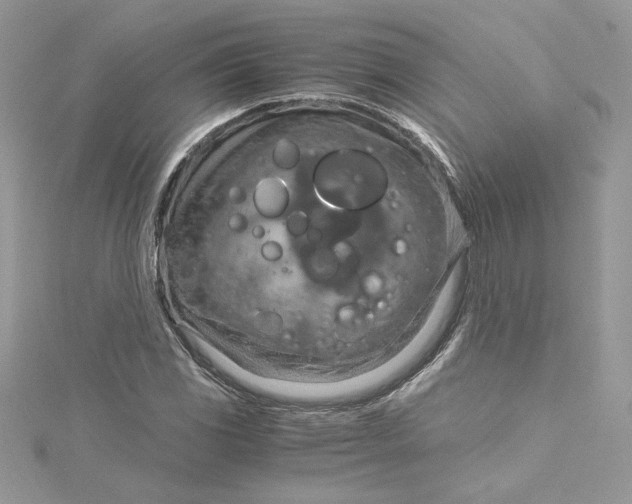 X0000115021117200911161440