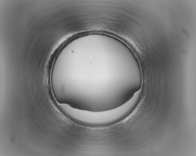 X0000115021118200911161440