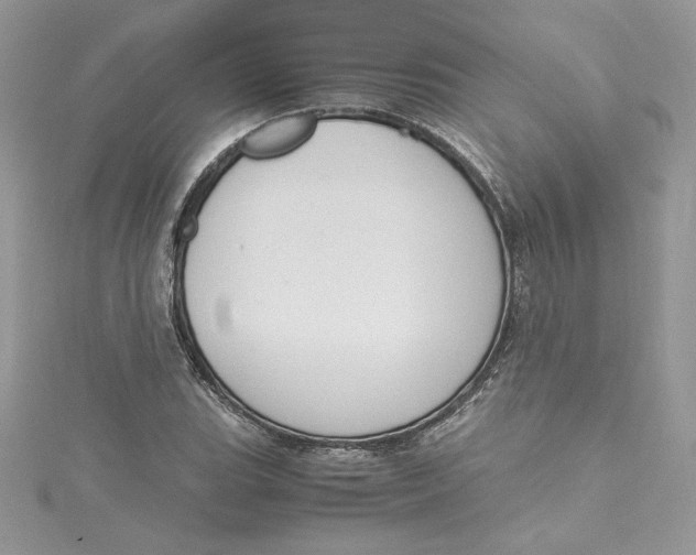 X0000115021119200911161440