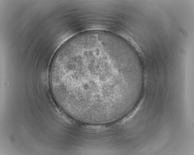 X0000115021121200911161440