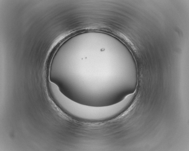 X0000115021122200911161440