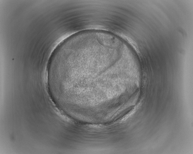 X0000115021125200911161440