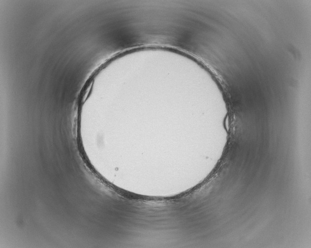 X0000115021126200911161440