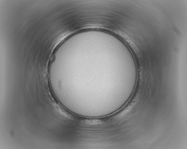 X0000115021129200911161440