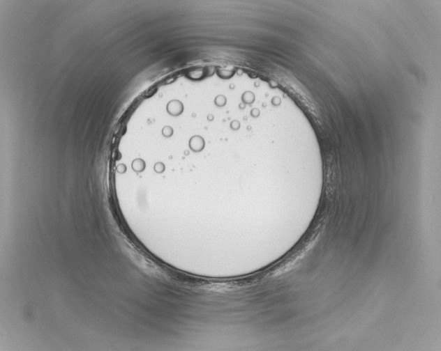 X0000115021130200911161440